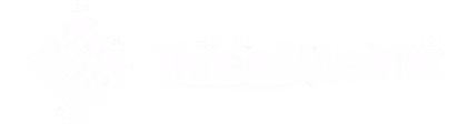 ThreatMetrix security logo